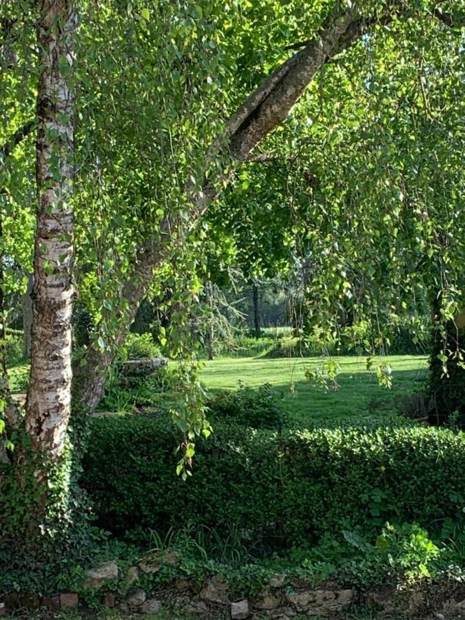 Moulin De Champrond -Montmirail -Sarthe Bed and Breakfast Εξωτερικό φωτογραφία