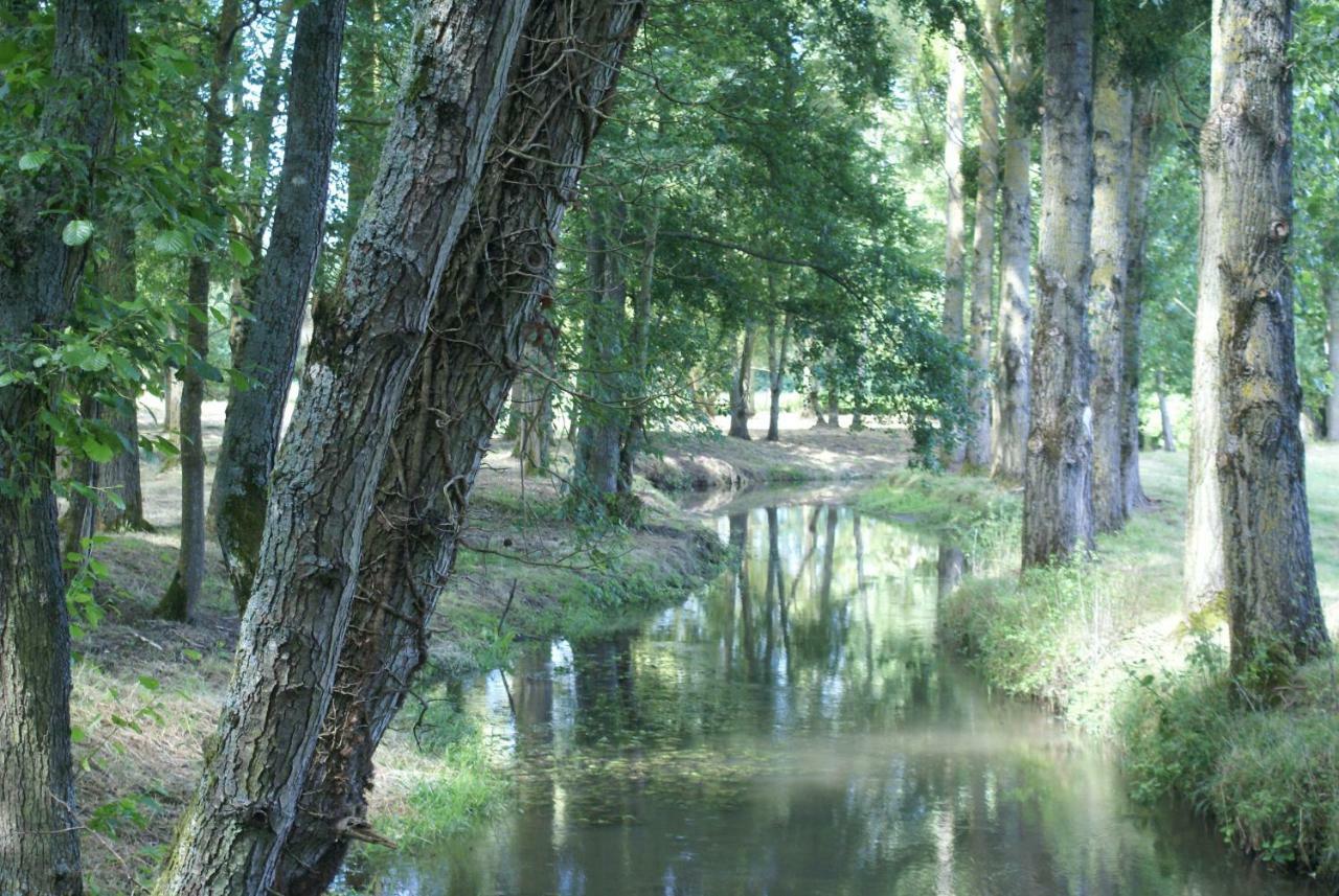 Moulin De Champrond -Montmirail -Sarthe Bed and Breakfast Εξωτερικό φωτογραφία